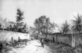 /album/galerie-de-photos-page-daccueil1/a8012-rue-serre-riviere-bg-jpg/